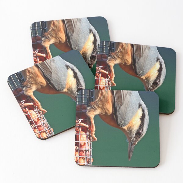 Item preview, Nuthatch on bird feeder designed and sold by BryanDevon.