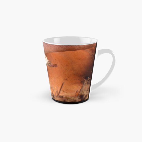 Sydney Dwarf Pipehorse "pregnant" male Tall Mug