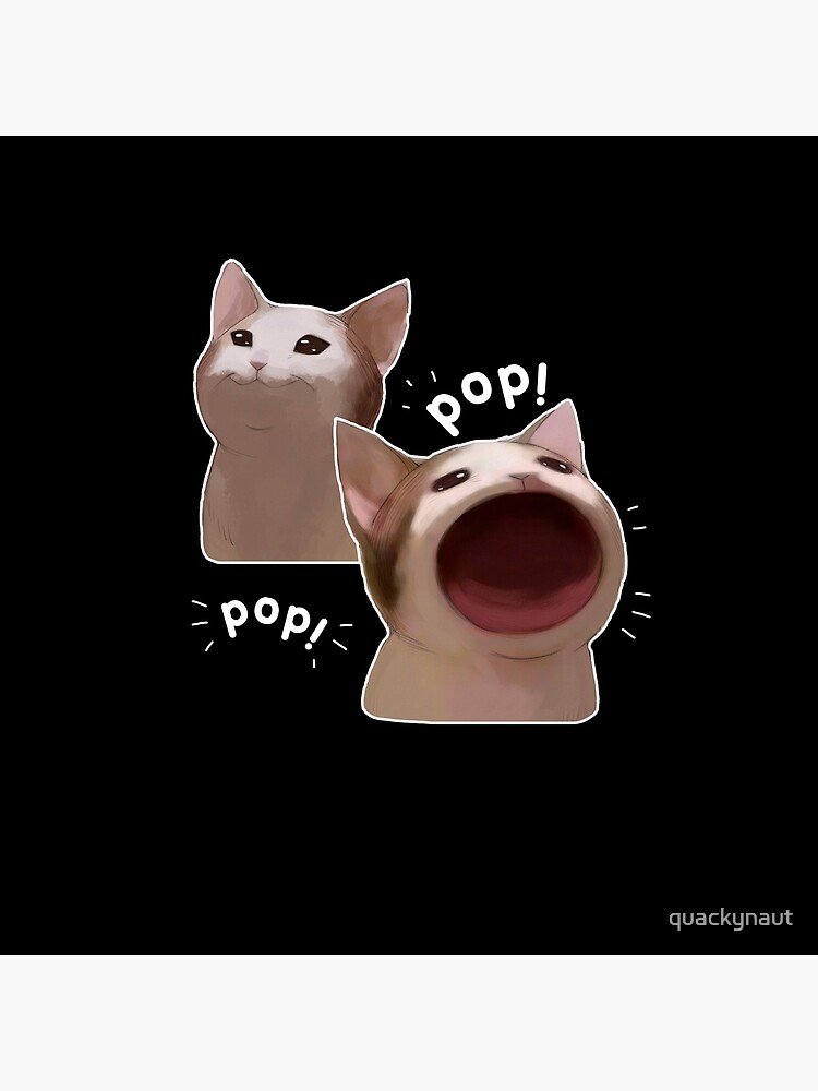 Pop Cat Meme Photographic Print for Sale by masoncarr2244