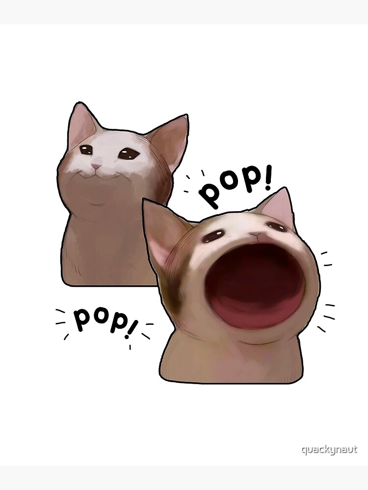Pop Cat Meme Photographic Print for Sale by masoncarr2244