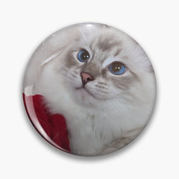 Item preview, Ragdoll queen cat Saoirse designed and sold by Fluffycat2020.