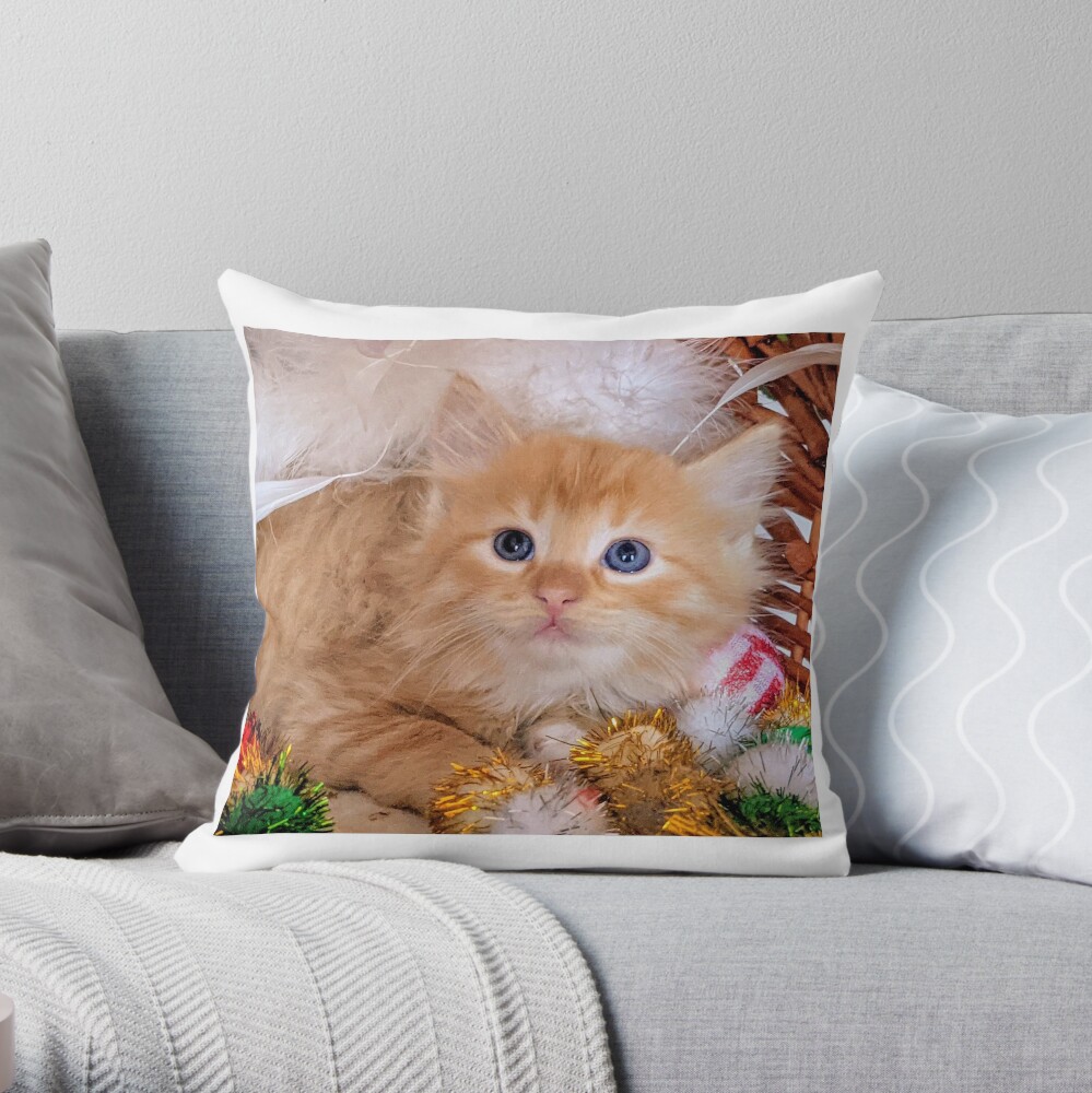 kitten throw pillow