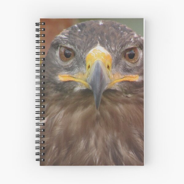 Item preview, Steppe eagle designed and sold by DomenicBlair77.