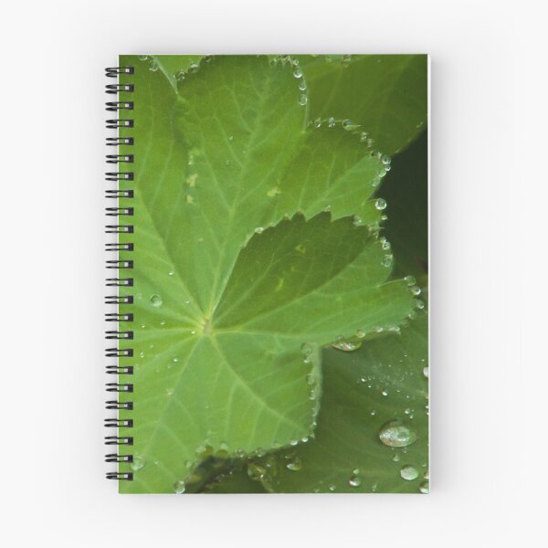 Item preview, Dew Drops On Lady's Mantel Leaf designed and sold by Sandra Foster.