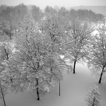 Artwork thumbnail, Looking down on snowy trees by steppeland