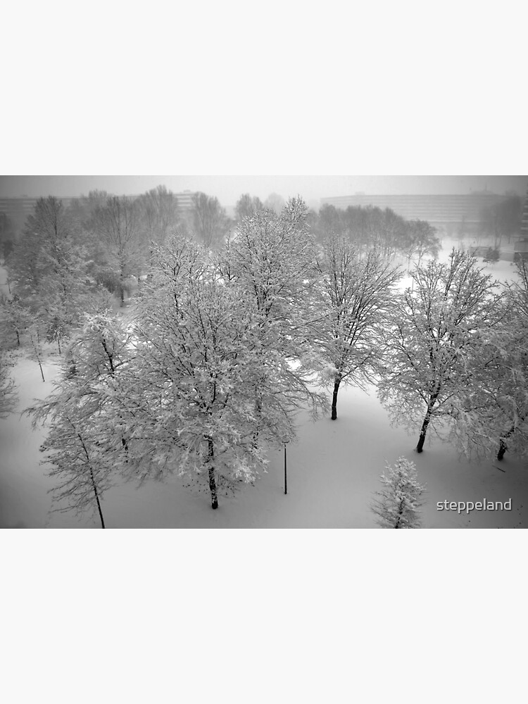 Thumbnail 3 of 3, Sticker, Looking down on snowy trees designed and sold by steppeland.