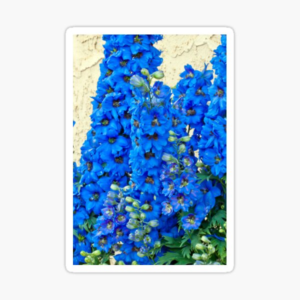 Item preview, Blue, Blue Delpheniums designed and sold by Sandra Foster.