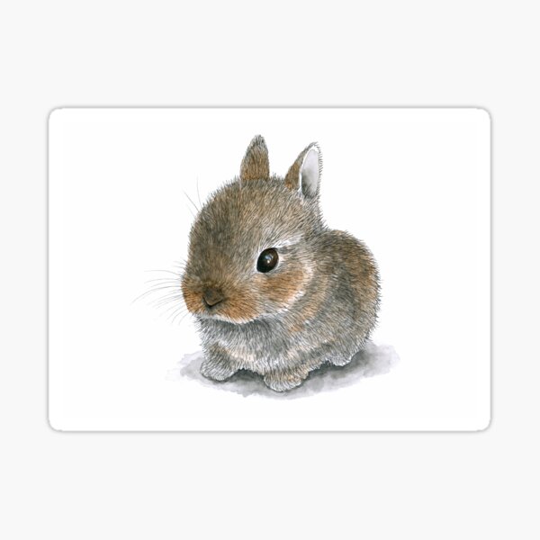 Rabbit 61 Cute Bunny Sticker
