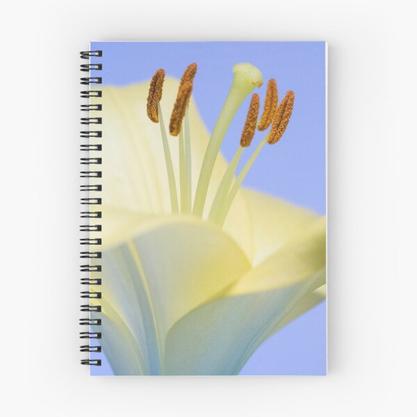 Item preview, Lily Stamens  designed and sold by DIANE  FIFIELD.