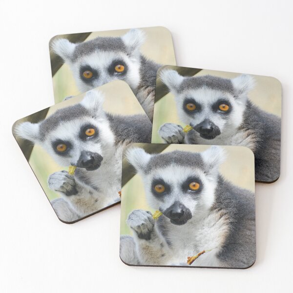 Item preview, Ring Tailed Lemur Eating designed and sold by Ksswaden.