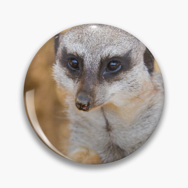 Item preview, Meerkat Lover designed and sold by Ksswaden.