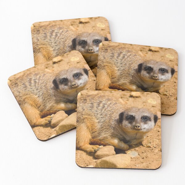 Item preview, Meerkat crouching  designed and sold by Ksswaden.