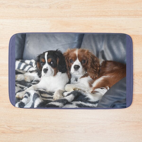 Item preview, Cavalier King Charles Spaniel designed and sold by PeDaNi.