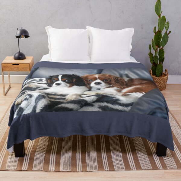 Item preview, Cavalier King Charles Spaniel designed and sold by PeDaNi.