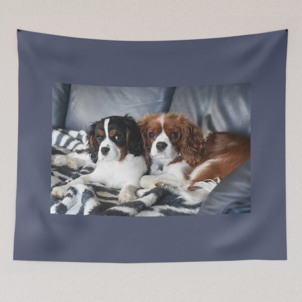 Item preview, Cavalier King Charles Spaniel designed and sold by PeDaNi.