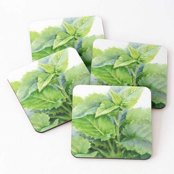 Item preview, grass with large leaves, watercolor drawing from nature designed and sold by avamnenado.