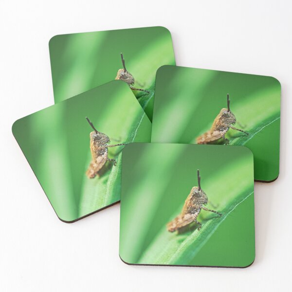 Item preview, Tiny grasshopper on a blade of grass macro photo designed and sold by hendrikspix.