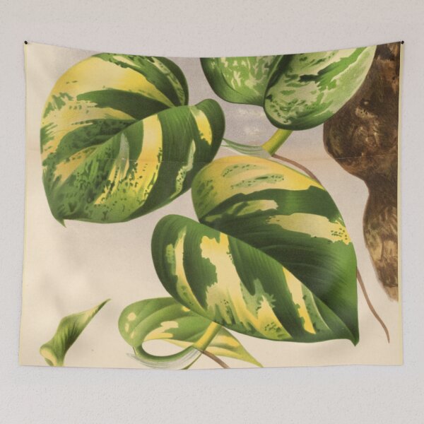 Item preview, Pothos Plant designed and sold by BlueSpecsStudio.