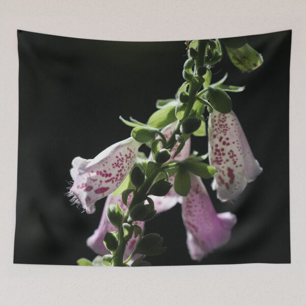 Item preview, Digitalis Beauty designed and sold by cuprum.