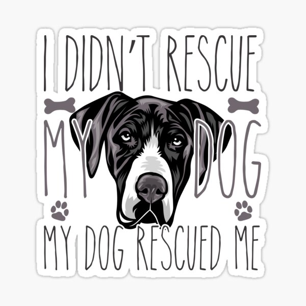 Details about   Great Dane Melts My Heart C Sticker Portrait 