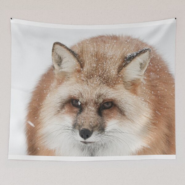 Item preview, Red fox in the snow designed and sold by Melissa Peltenburg.