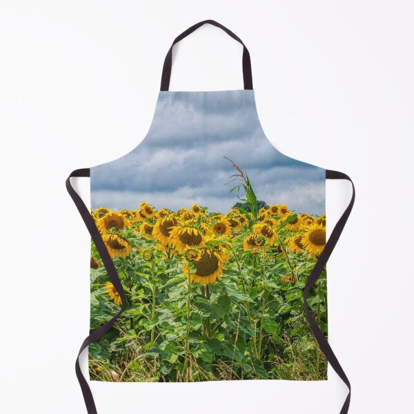 Item preview, Sunflowers and a dark sky designed and sold by Photopat.