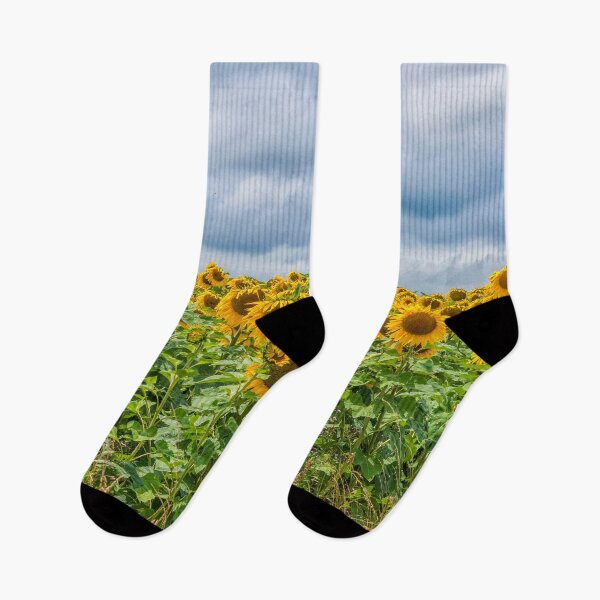 Item preview, Sunflowers and a dark sky designed and sold by Photopat.