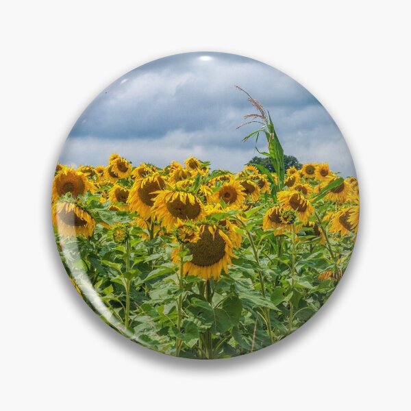 Item preview, Sunflowers and a dark sky designed and sold by Photopat.