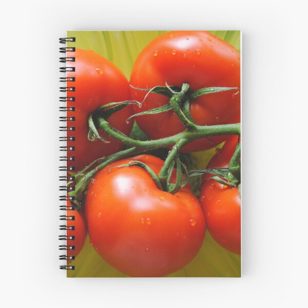 Item preview, Vine Tomatoes designed and sold by Sandra Fortier.