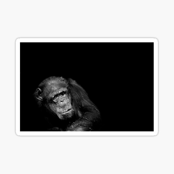 The Old Man Sticker