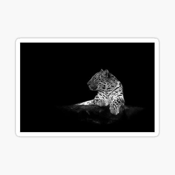 Untitled Sticker