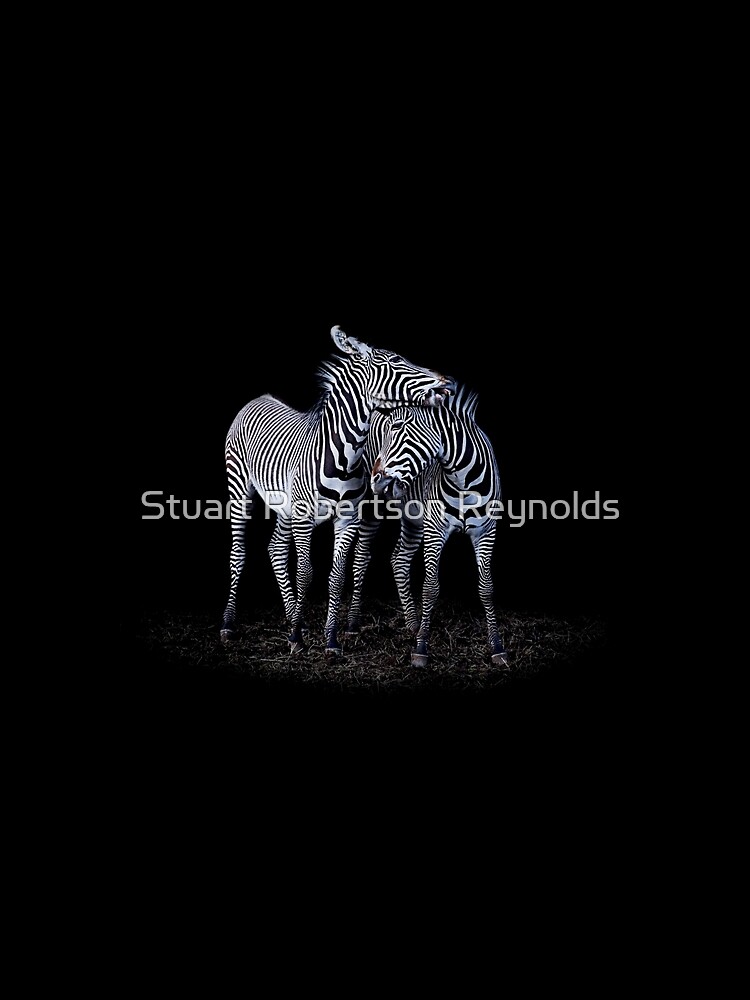 Zebra by Sparky2000