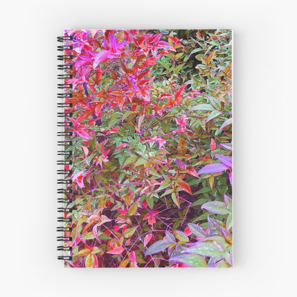Item preview, Beautiful plants designed and sold by BVCdesigns.
