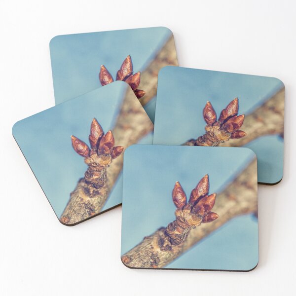 Item preview, Buds designed and sold by Photopat.