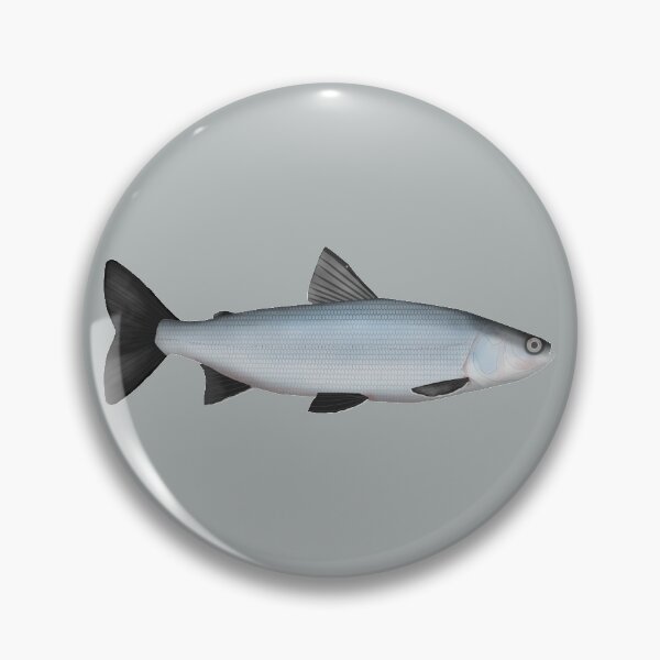 Item preview, Sardine Cisco designed and sold by fishfolkart.