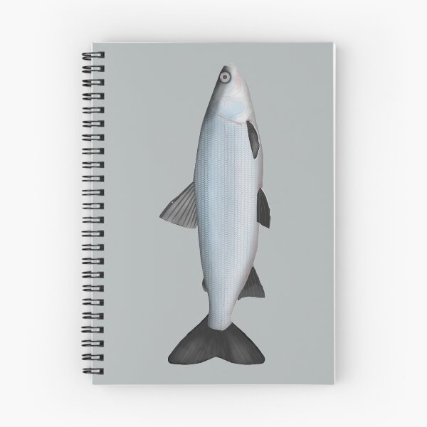 Item preview, Sardine Cisco designed and sold by fishfolkart.