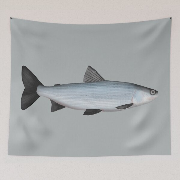 Item preview, Sardine Cisco designed and sold by fishfolkart.