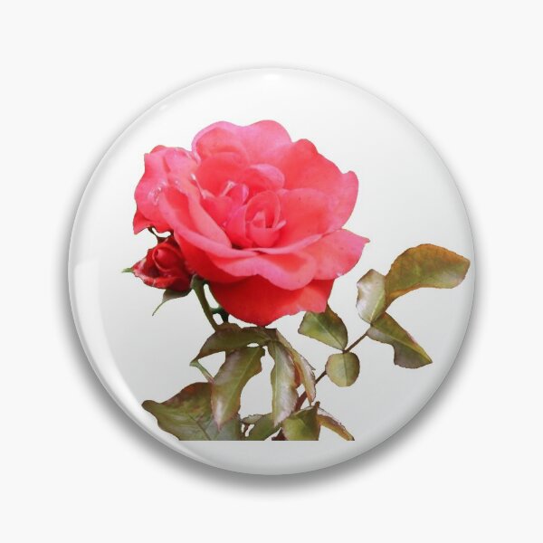 Artikelvorschau, Rosa Rose (mit Blättern) entworfen und verkauft von Lena Gripp.
