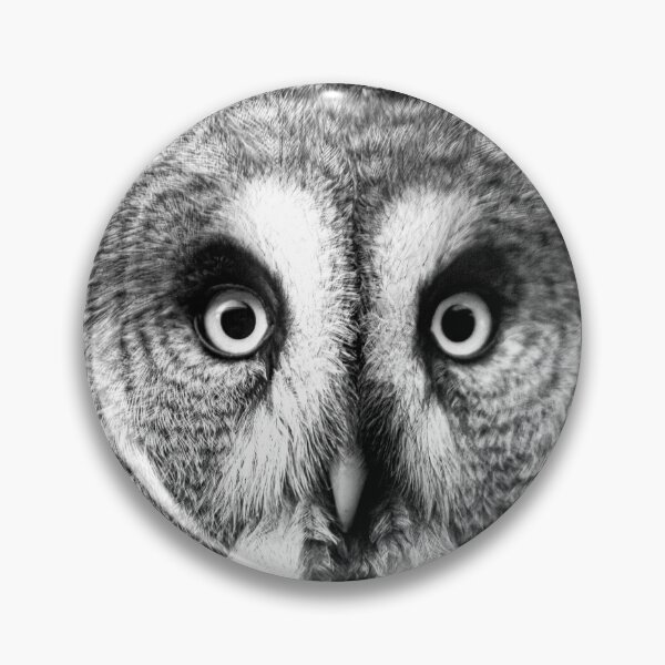 Item preview, Owlsome great great owl designed and sold by Dalyndigital Photography.