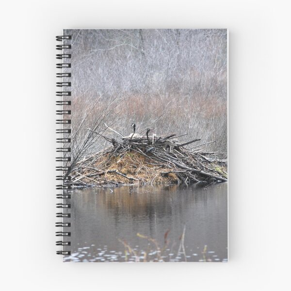 Item preview, Canada Geese infiltrate the beaver lodge designed and sold by Epiphany27Photo.