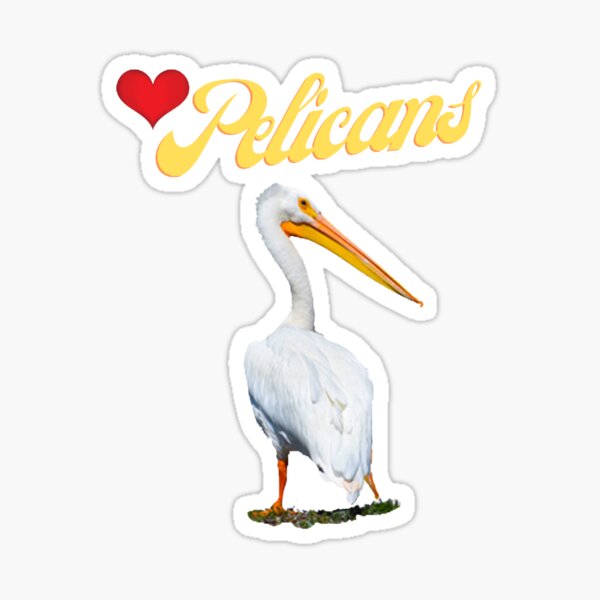 Love Pelicans Beautiful White Bird Photography  Sticker