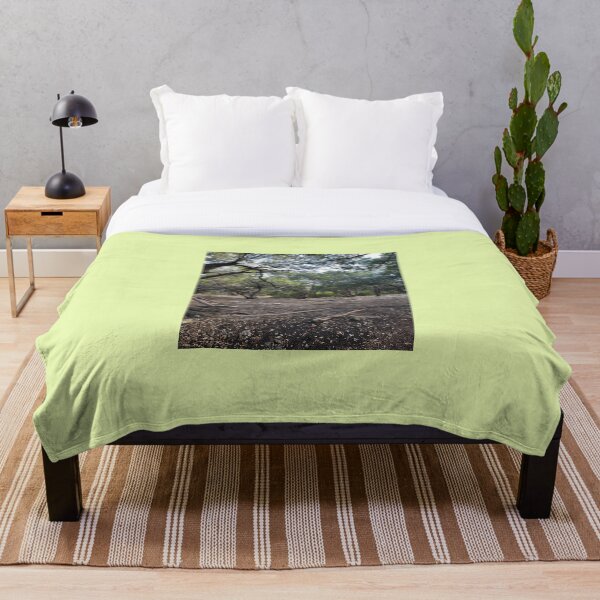 Item preview, Woods in Twin Lakes Park designed and sold by RotondoArt.