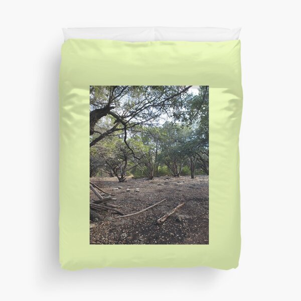 Item preview, Woods in Twin Lakes Park designed and sold by RotondoArt.