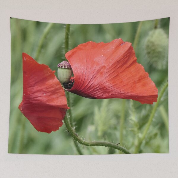 Item preview, r 2589/ 11 " un Coquelicot en Position de Défense Anti-Covid ! - a Poppy in Anti-Covid Defense Position !" par Okaio Créations   Olavia&Olao designed and sold by o.okaïo.
