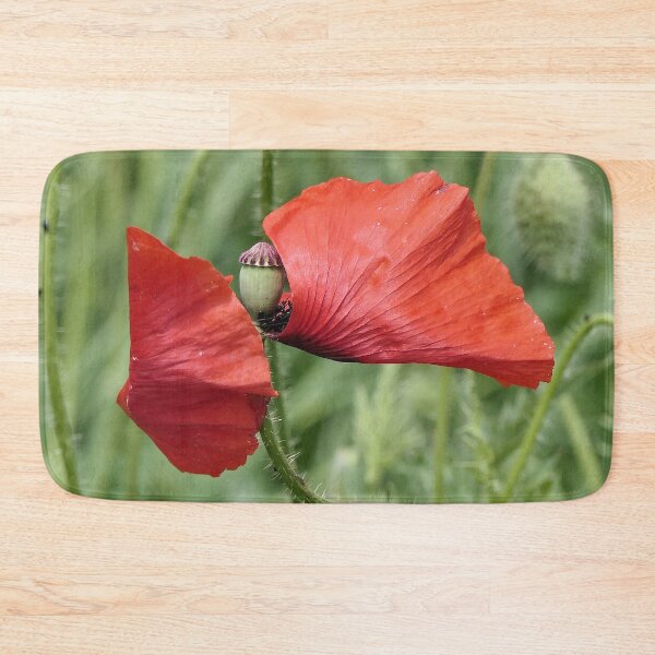Aperçu de l'œuvre r 2589/ 11 " un Coquelicot en Position de Défense Anti-Covid ! - a Poppy in Anti-Covid Defense Position !" par Okaio Créations Olavia&Olao créée et vendue par o.okaïo.