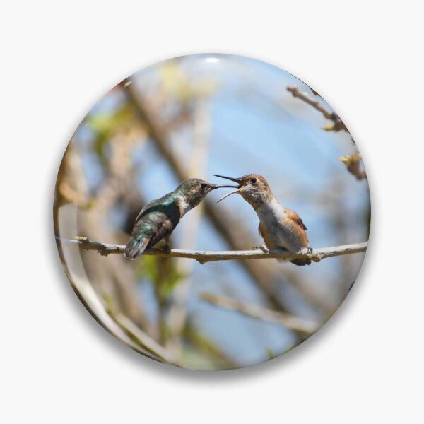 Item preview, Hummingbirds At Nature's Best Photo By Concetta Ellis designed and sold by concettaellis.