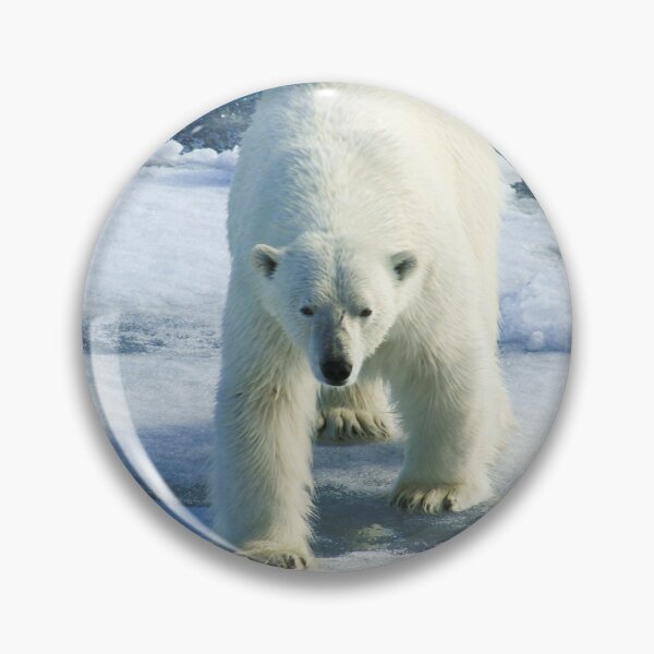 Item preview, Polar Bear designed and sold by jstem.