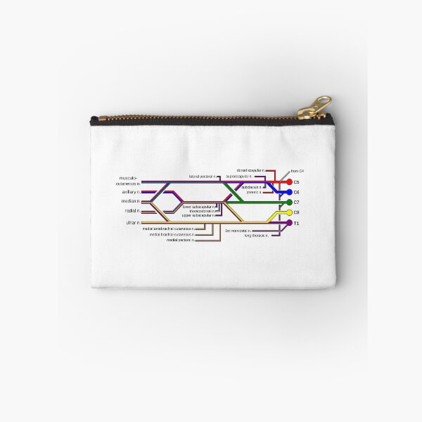 Item preview, Brachial Plexus designed and sold by Cédric Heydt.
