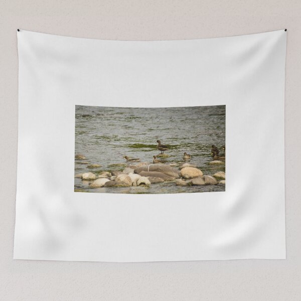Item preview, gli ducks designed and sold by pcfyi.
