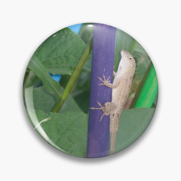 Item preview, Lizard in a garden photograph designed and sold by ValeriesGallery.